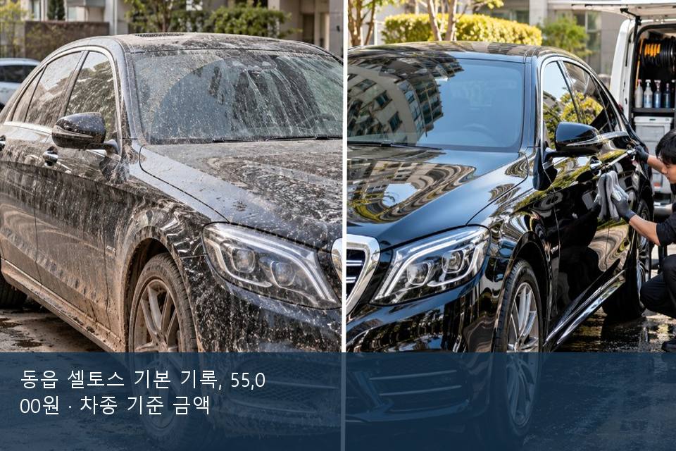 동읍 셀토스 기본 기록, 55,000원 · 차종 기준 금액